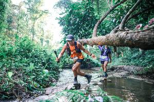 BIB: 
                            <button type="button" onclick="openModal(25431680)" class="btn btn-primary btn-sm float-right btn-popup" data-toggle="modal" data-target=".modal-high-quality">
                        <i class="fas fa-shopping-cart"></i> Add to Cart
                    </button>
                                            <button type="button" onclick="isThisMe(25431680, true)" class="btn btn-success btn-sm float-right btn-popup btn-isme hidden" data-toggle="tooltip" data-placement="bottom" title="นี่คือรูปของคุณใช่ไหม คลิกที่นี่เพื่อเอาเข้าอัลบั้ม">
                        <i class="fas fa-plus"></i> Add to album
                    </button>
                    <button type="button" onclick="isThisMe(25431680, false)" class="btn btn-warning btn-sm float-right btn-popup btn-isnotme hidden">
                        <i class="fas fa-ban"></i> Remove from album
                    </button>